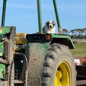 Meet your Posher, Kim